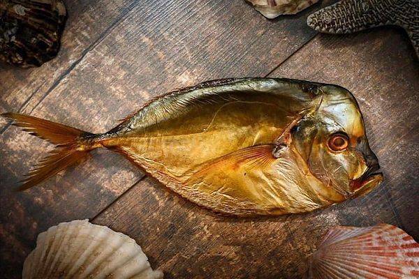 Самые ядовитые рыбы в мире – список, названия, где обитают, фото и видео  - «как и почему»