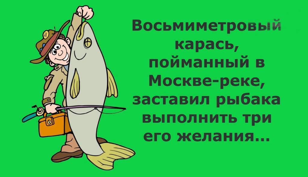 Анекдоты про рыбаков и рыбалку смешные (40 штук)