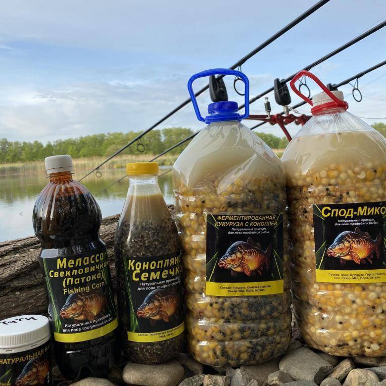 Приготовление ферментированной кукурузы для рыбалки