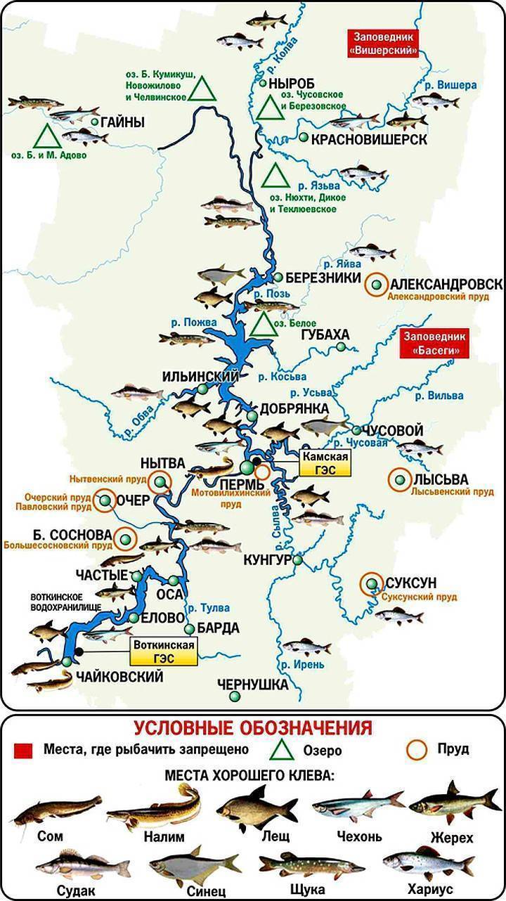 Рыбалка в свердловской области. форум и отчеты рыбаков