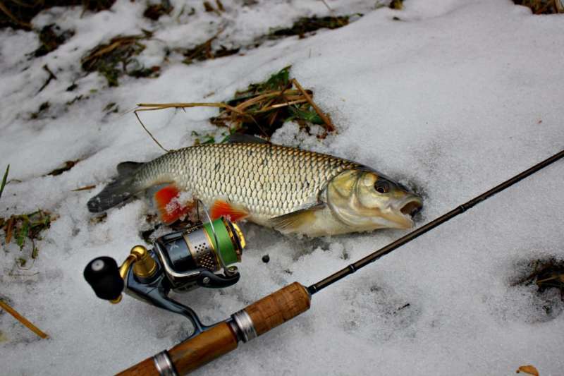 Рыбалка в феврале: какую рыбу ловить в феврале