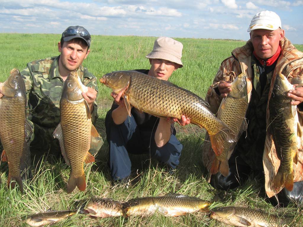 Рыбалка и отдых в ростовской области