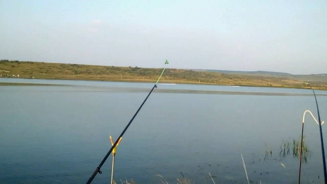 Платная рыбалка в ставропольском крае