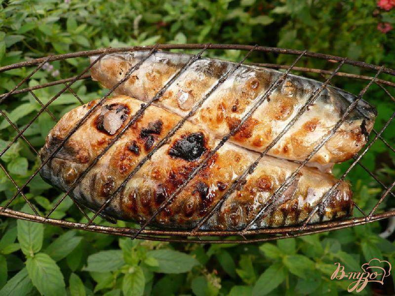 Шашлыки из рыбы на мангале