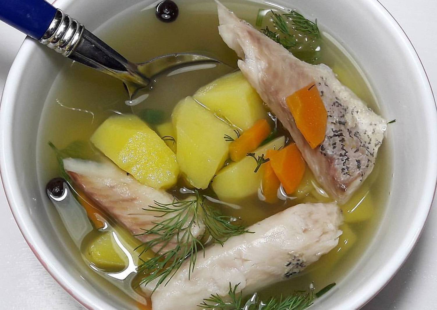 Уха из стерляди – ни с чем несравнимый вкус и аромат рыбного супа. как приготовить вкусную уху из стерляди | онлайн журнал "женские разговоры"