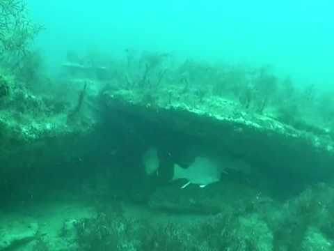 Подводная охота на черном море весной