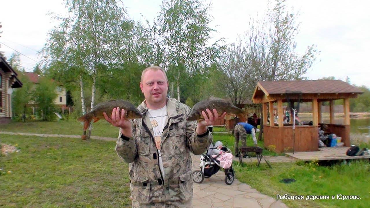 Платная рыбалка в юрлово: какую рыбу можно выловить в прудах и какова стоимость рыбалки