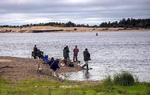озера для рыбалки в вологодской области