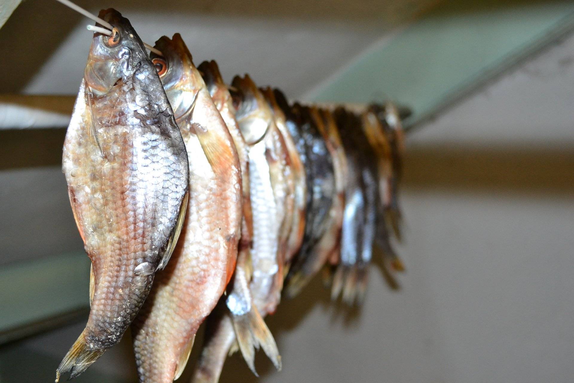 Как хранить вяленую рыбу, сушеную рыбу и разница между ними