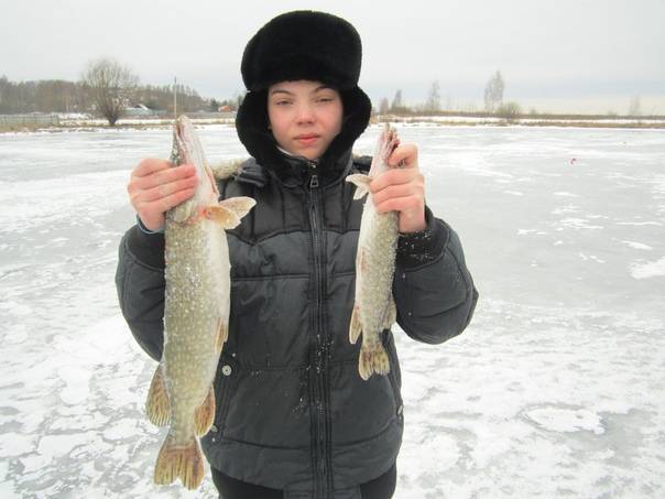 Белгород - календарь рыболова. рыбалка в белгороде, график клёва рыбы.