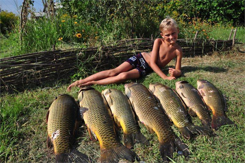 Рыбалка в ростове и ростовской области