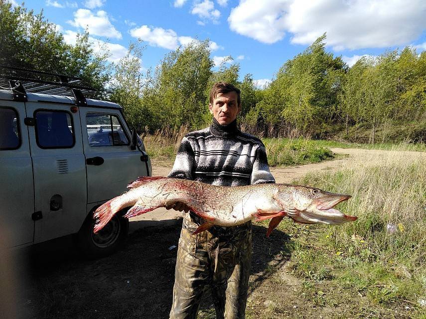 Рыбалка в омске и омской области - блог рыбака