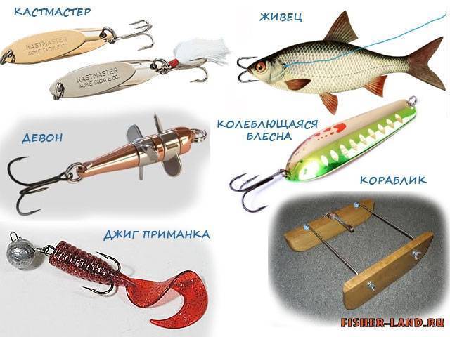 Ловля на спиннинг с берега: как правильно рыбачить, особенности рыбалки на береговые спиннинги