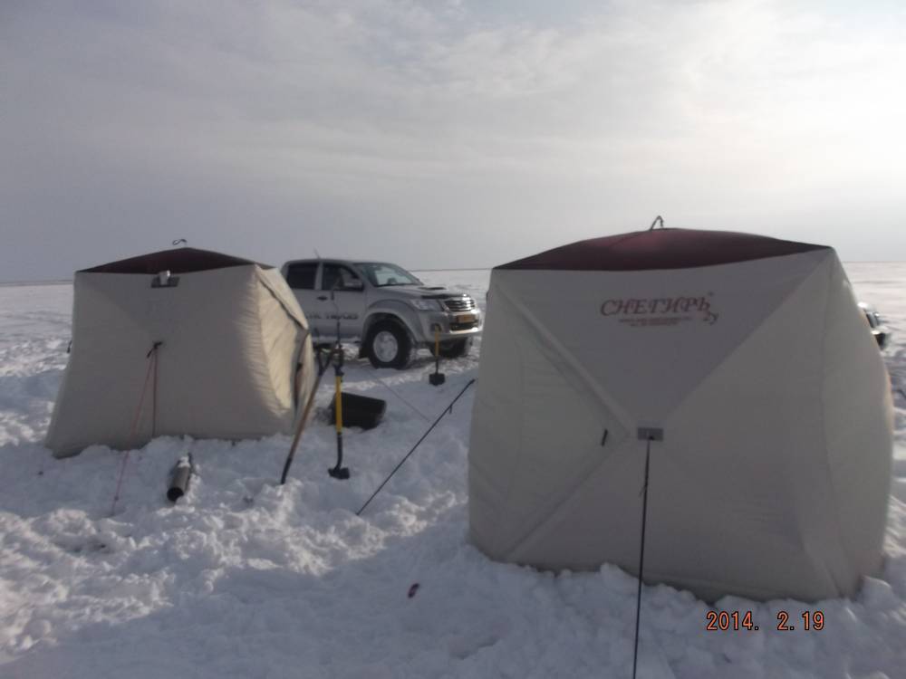 Зимняя палатка «снегирь»: отзывы, производитель палаток для зимней рыбалки «снегирь» | полезная информация для всех