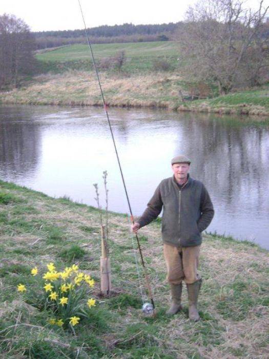 Рыбалка на дону в ростовской области | рыбалка на дону