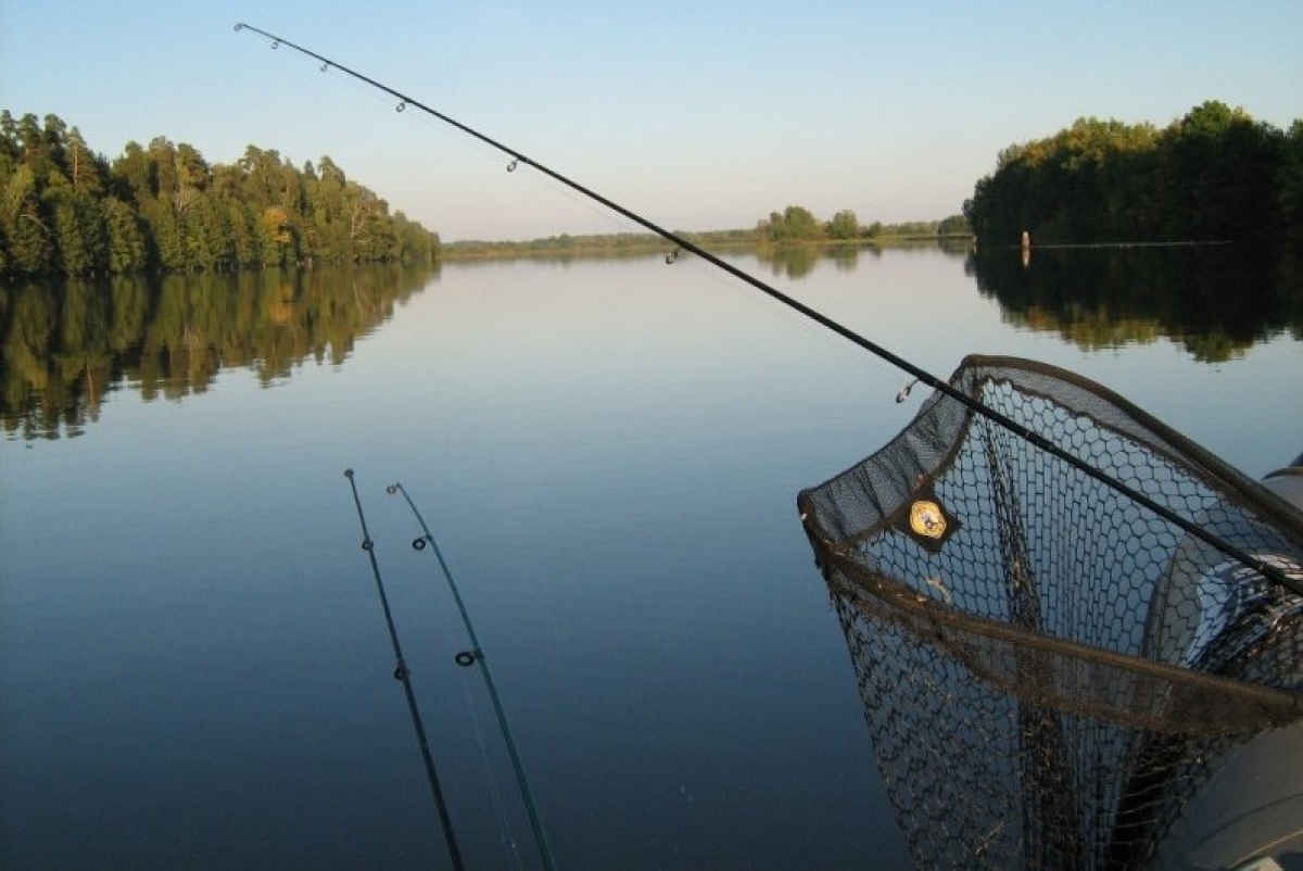 Обзор 10 лучших эхолотов для рыбалки, рейтинг 2020 года | туризм и путешествия