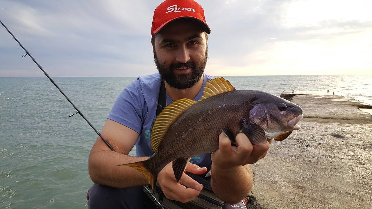 Рыбалка с берега на черном море