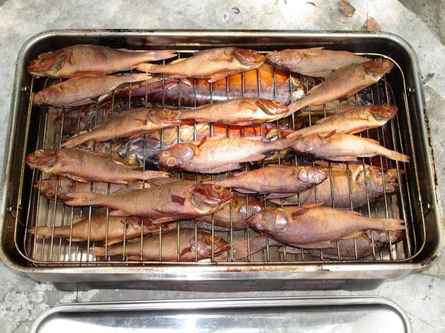Рыба холодного копчения в домашних условиях
