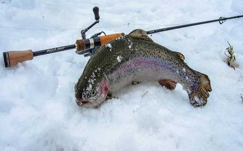 Рыбалка в финляндии зимой и летом, цены и условия рыбалки