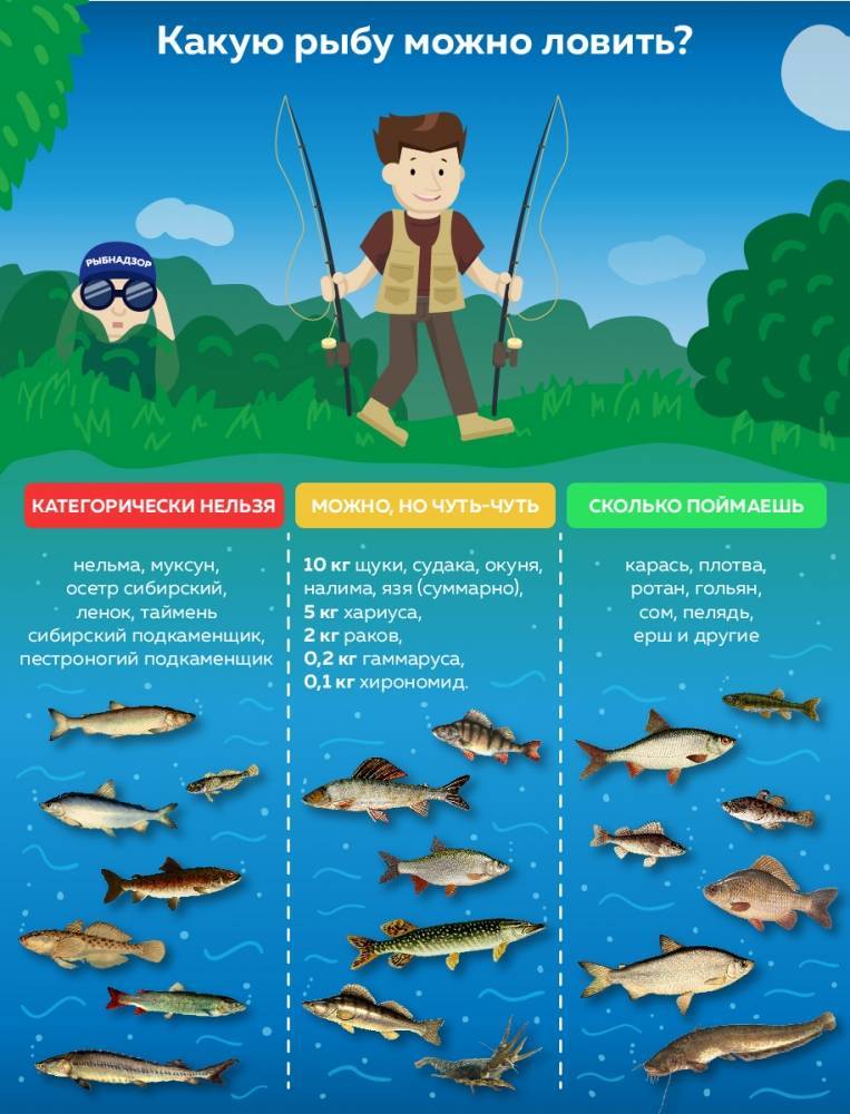 В чём разница между рыбаком и рыболовом? | полезная информация для всех