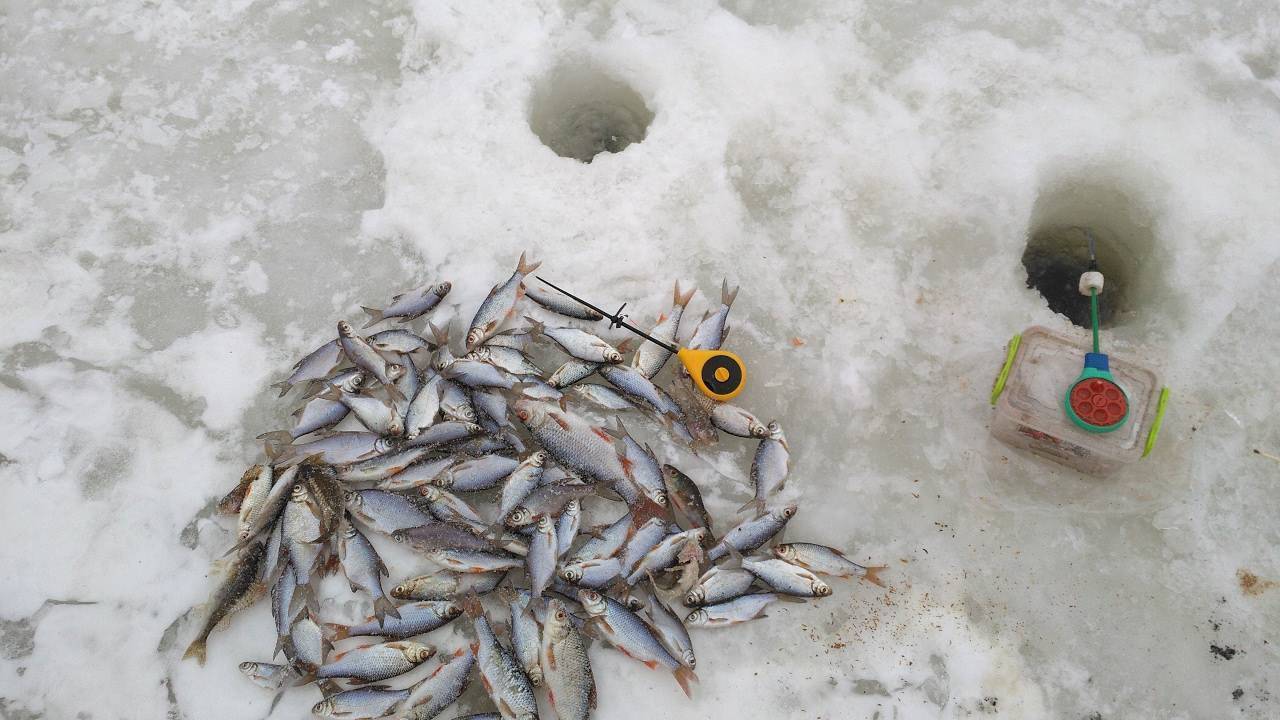 Зимняя ловля на мормышку: 95 фото и видео советы от профессионалов