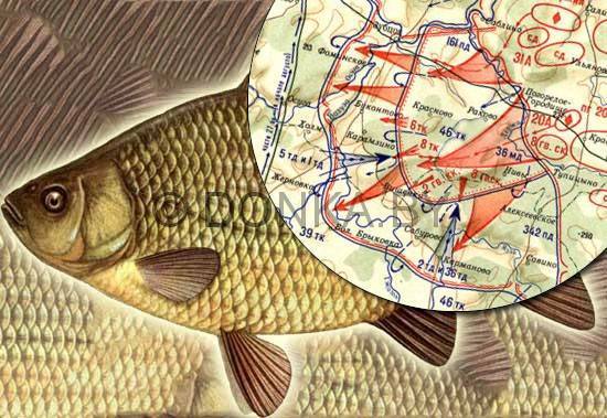 Карась: описание рыбы, места обитания, образ жизни и способ ловли