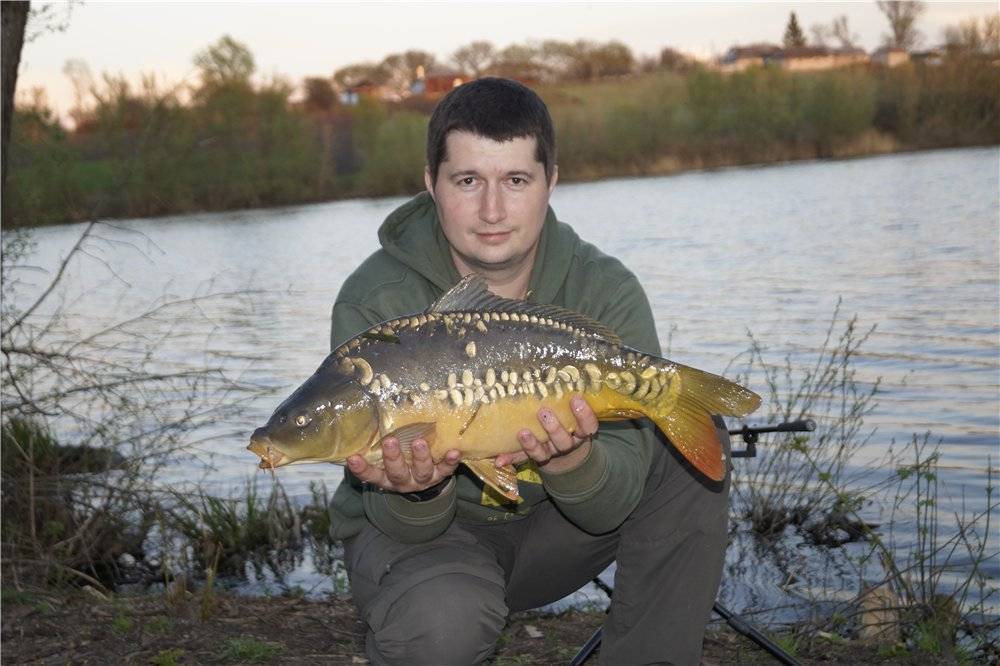 Рыбалка в белогорье: ловля щуки и другой рыбы в реках, водоёмах и платных прудах белгородской области