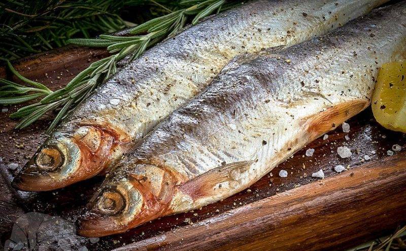 Рыба муксун: фото, описание, польза и вред для организма, калорийность, рецепт приготовления в духовке