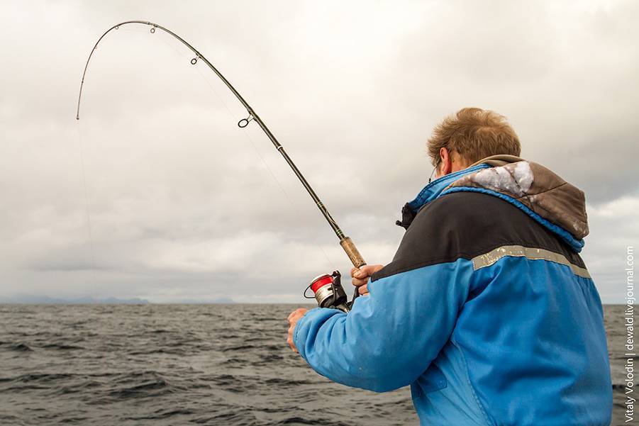 Как научиться ловить рыбу. советы начинающим рыбакам
