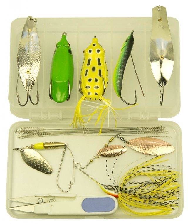Ловля рыбы троллингом для начинающих (приманки, техника и тактика, особеннности водоемов)