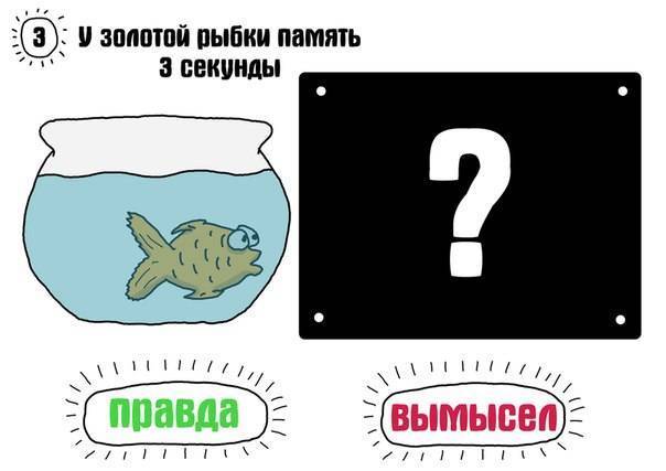Сколько секунд длится память у рыб: мифы о домашних рыбках. есть ли память у рыб — мифы и реальность