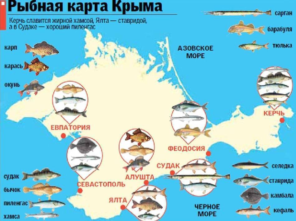 Рыбалка в Республике Крым: лучшие места на карте