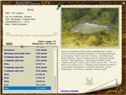 Аквариумные рыбки — фото с названием и описанием, более 200 разновидностей.