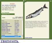 Рыба нельма - 135 фото рыбы, ловля, особенности поведения и советы по выбору снастей