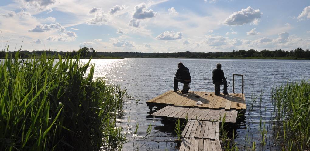 Рыбалка в омской области — обзор водоемов | lovitut.ru (рыбалка и бильярд) | яндекс дзен