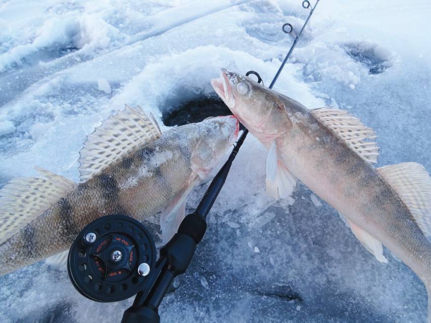 Мормышки на плотву для зимней рыбалки — лучшие 10