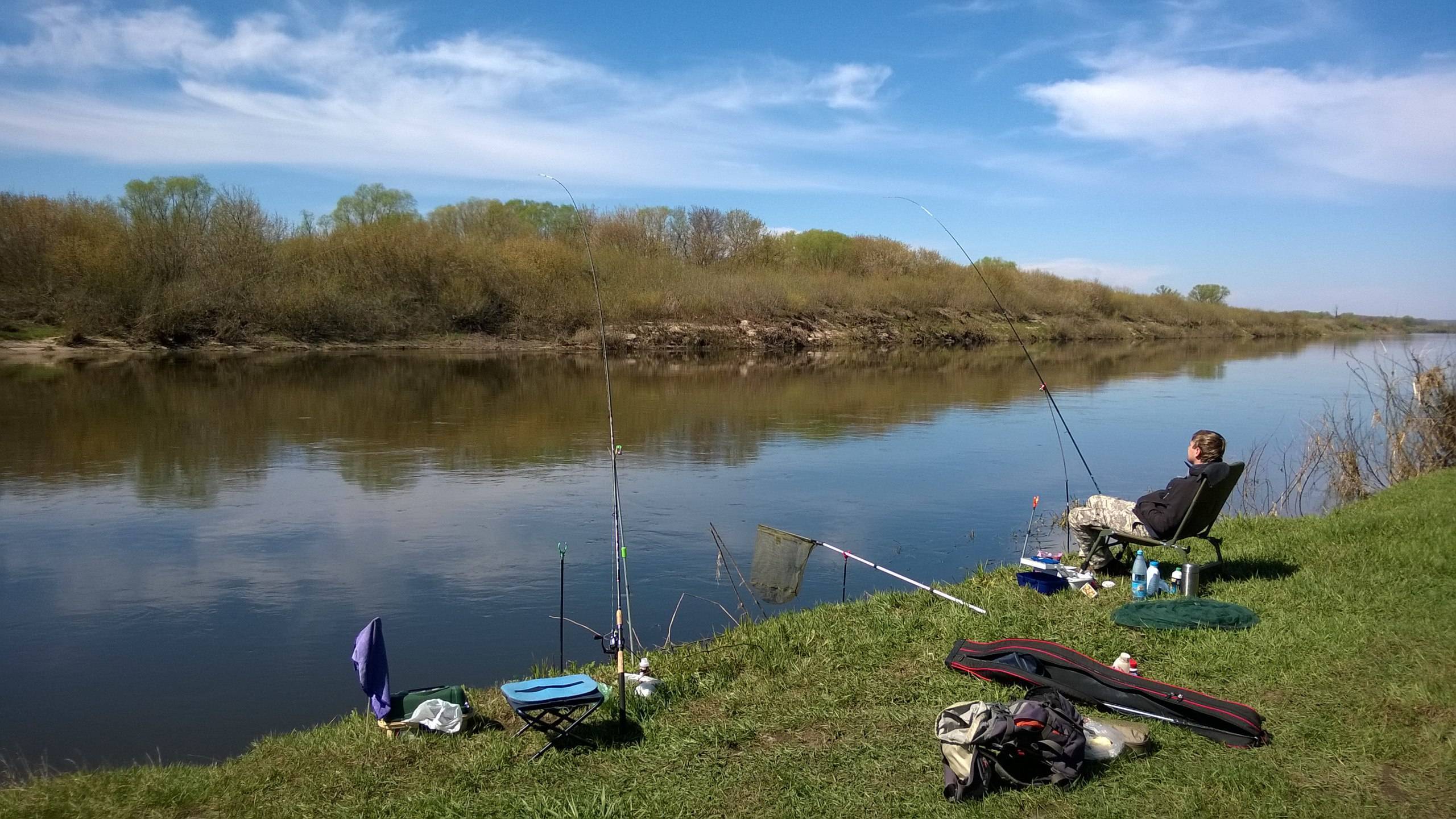 Платная рыбалка в воронежской области: рыболовные базы, водоемы и туры воронежской области