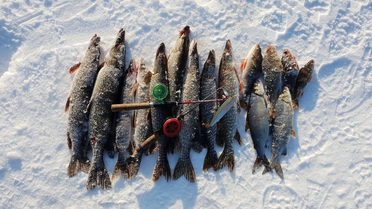 Места для рыбалки в республике татарстан – платная и бесплатная рыбалка!
