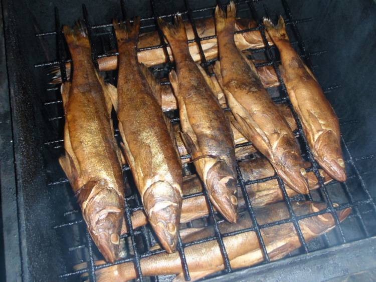 Подготовка рыбы к горячему копчению